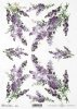 lawenda, lawendowe, lawendowy, bukiet, kwiat, ogród, lato, R746, lavender, bouquet, flower, garden, summer, Lavendel, Strauß, Blume, Garten, Sommer, lavanda, ramo, flor, jardín, verano